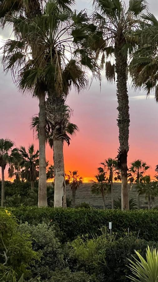 サンミゲル・デ・アボナCasa Helen 2 Tenerife Surアパートメント エクステリア 写真