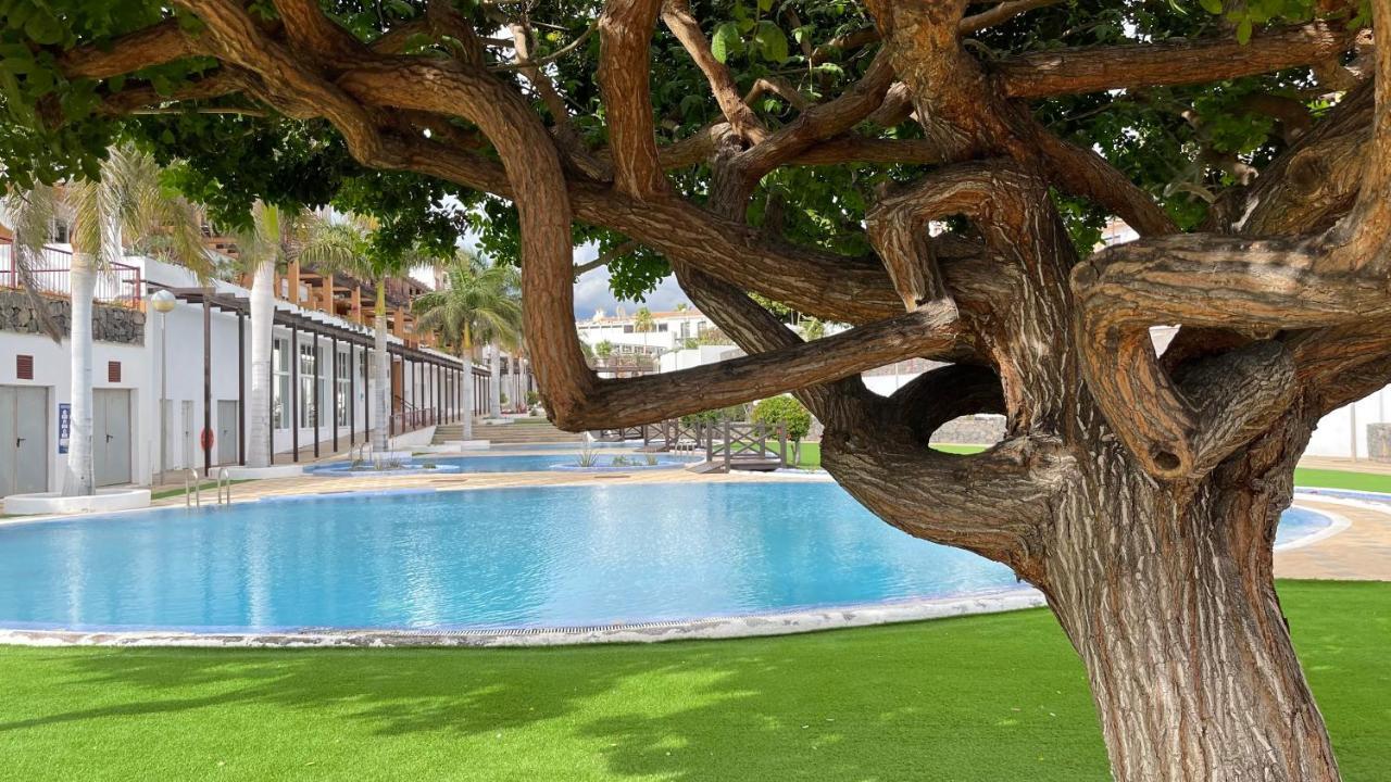 サンミゲル・デ・アボナCasa Helen 2 Tenerife Surアパートメント エクステリア 写真