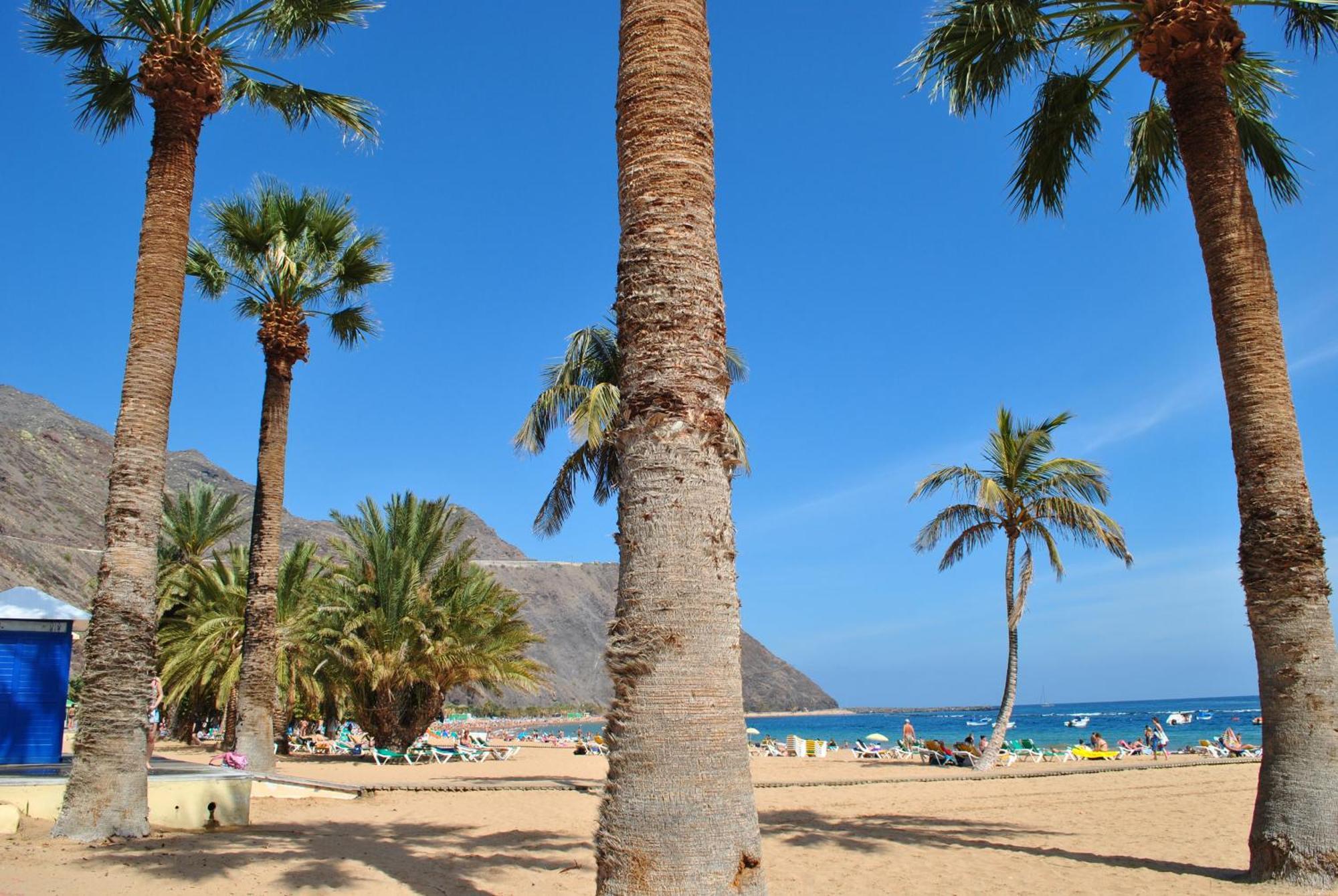 サンミゲル・デ・アボナCasa Helen 2 Tenerife Surアパートメント エクステリア 写真
